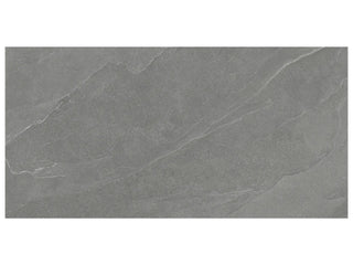 Chromium 24x48 Tile & Stone by Anatolia Tile