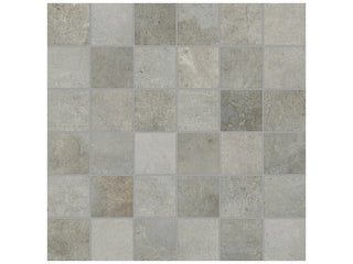 Chromium 2x2 Tile & Stone by Anatolia Tile