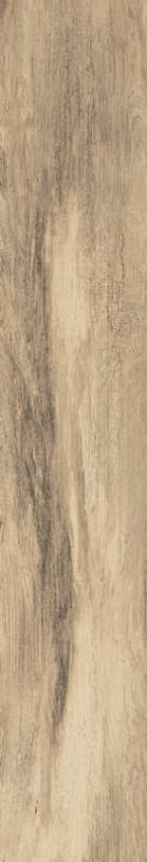 Citrus Amber Natural 8x47 Tile & Stone by Happy Floors