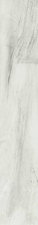Citrus Blossom Polished 8x47 Tile & Stone by Happy Floors