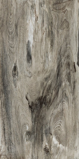 Citrus Midnight Polished 12x24 Tile & Stone by Happy Floors