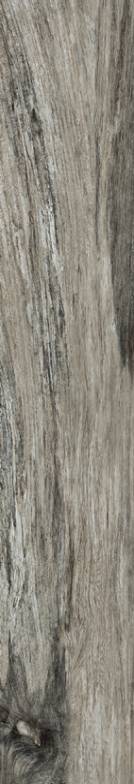 Citrus Midnight Polished 8x47 Tile & Stone by Happy Floors