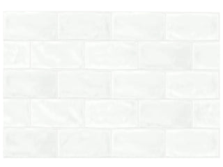 Cloud 3x6 Glossy Tile & Stone by Anatolia Tile