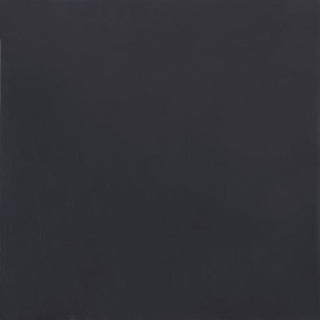 Coal Square Matte Tile & Stone by American Olean