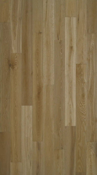 Coastal Haze Engineered Hardwood by HF Design LLC
