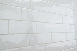 COTTO BIANCO 2.5 X 8 Tile & Stone by Anthology Tile