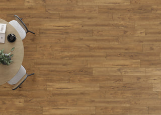 Coventry - Meadow spc by Mannington