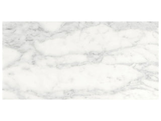 Cromo Bianco 18x36 Tile & Stone by Anatolia Tile