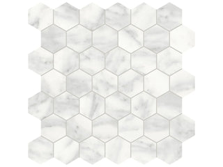 Cromo Bianco Hexagon 2" Tile & Stone by Anatolia Tile