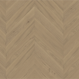 Dahr Chevron Engineered Hardwood by DuChateau
