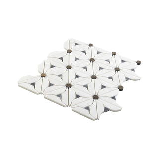 DAISY LAYNE Tile & Stone by Anthology Tile