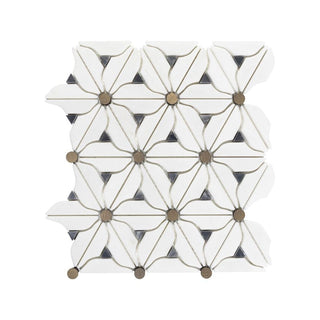 DAISY LAYNE Tile & Stone by Anthology Tile