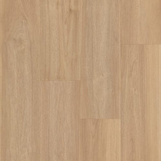 Darby spc by Legendary Floors