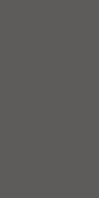 Dark 12x24 by Happy Floors