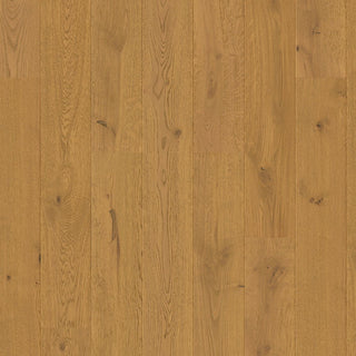 Dark chestnut oak extra matt Engineered Hardwood by Quickstep