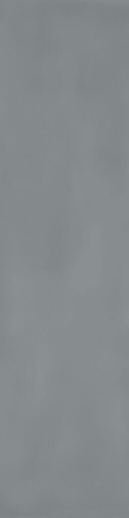 Dark Glossy 4x16 by Happy Floors
