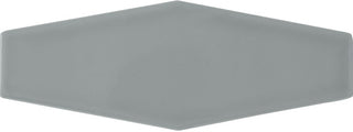 Dark Glossy Elongated Hex 3x8 by Happy Floors