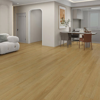 Dawn Vinyl by Parkay Floors
