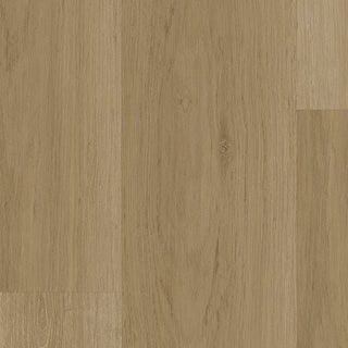 Divine Champagne 9”x72” Vinyl by Tarkett Home