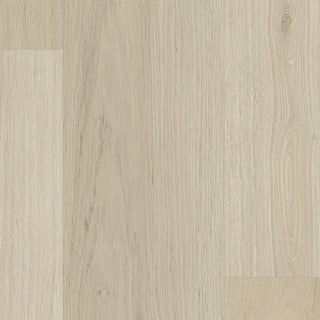 Divine Prosecco 9”x60” Vinyl by Tarkett Home