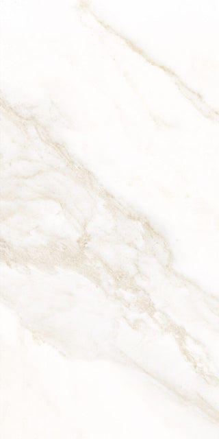 Dorado Brillo 12x24 by Happy Floors