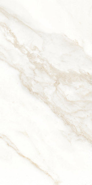 Dorado Natural 12x24 by Happy Floors