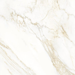 Dorado Natural 24x24 by Happy Floors