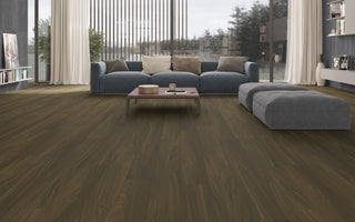 Dove spc by Paradigm