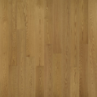 Dream Oak Engineered Hardwood by Hallmark Floors