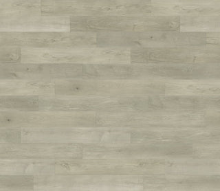 Duke spc by Paradigm