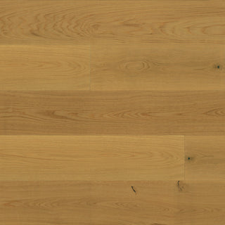 Dune Engineered Hardwood by Bedrosians