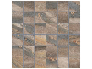 Earth 2x2 Tile & Stone by Anatolia Tile