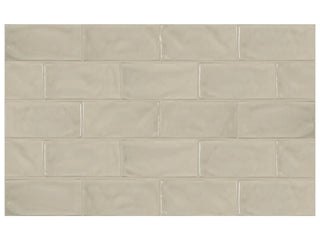 Earth 3x6 Glossy Tile & Stone by Anatolia Tile