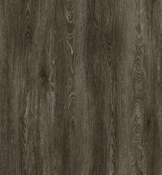 Edda Vinyl by Anchor Floor & Supply