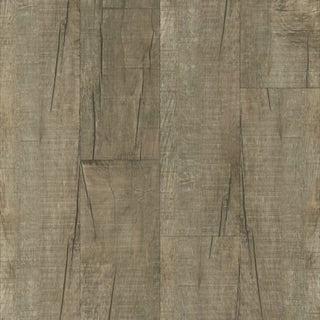 Edenton spc by Legendary Floors