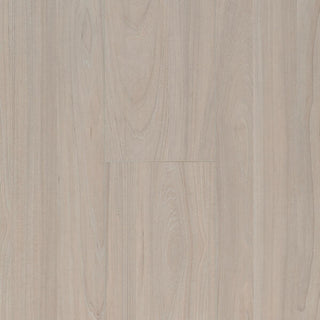Elm Light