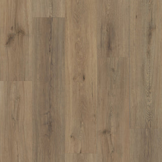 ENDURA PLUS - Wild Dunes spc by Shaw Floors