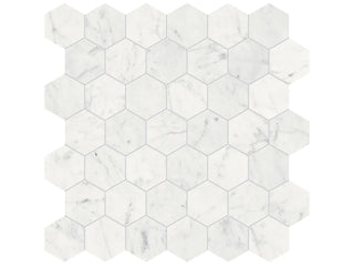 Eterna Bianco Hexagon 2" Polished Tile & Stone by Anatolia Tile
