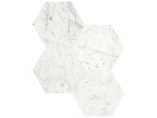 Eterna Bianco Hexagon 6" Polished Tile & Stone by Anatolia Tile