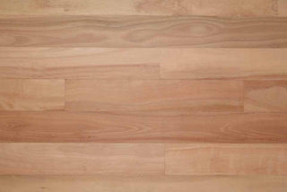 Eucalyptus Select Hardwood by Anchor Floor & Supply