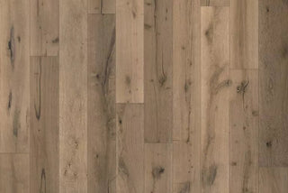 Evelien Engineered Hardwood by Garrison