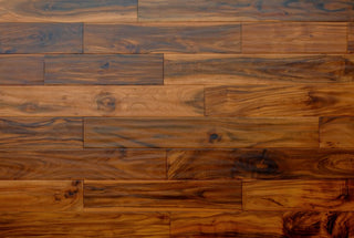 Exotic Walnut Golden Hardwood by Montserrat Floors