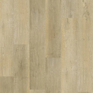 Exotica - 705 spc by Stanton
