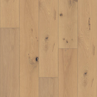 EXPRESSIONS 9.5" - Harmony Engineered Hardwood by Shaw Floors