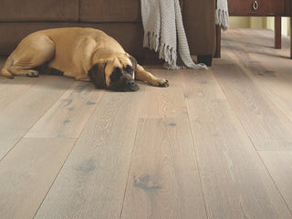 EXQUISITE - Beiged Hickory Engineered Hardwood by Shaw Floors