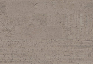 Fashionable Cement Tile & Stone by Amorim Wise