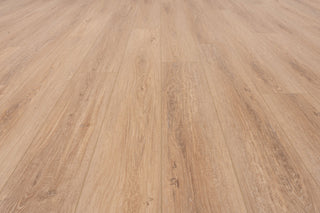 First Glance Vinyl by Provenza