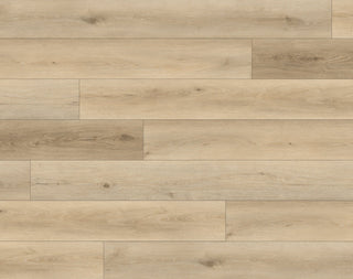 Flax spc by Paradigm
