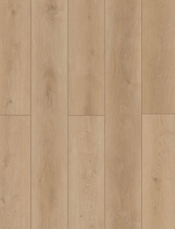 Forest Timber Laminate by Lions Floor