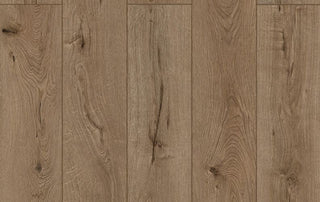 Forgotten Bark spc by Lions Floor